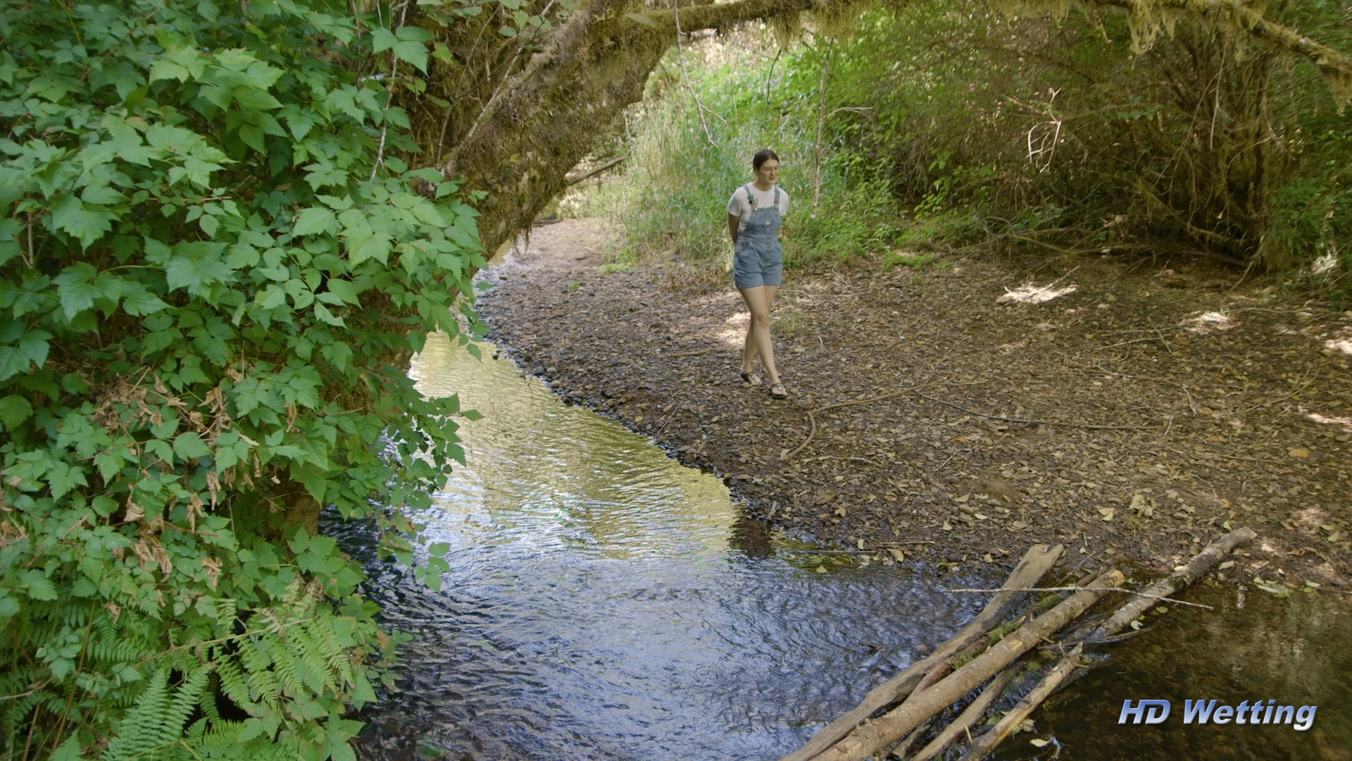 creek-1 Walking along a creek through the forest.